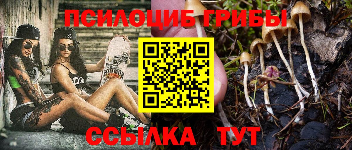 Галлюциногенные грибы Psilocybine cubensis Ипатово